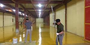 Sơn Epoxy hệ lăn