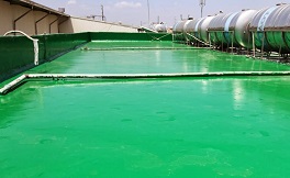 Sơn epoxy chống thấm